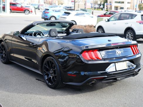 Used 2019 Ford Mustang Convertible w/ Ecoboost Performance Package image 10