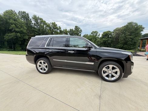 Used 2016 Cadillac Escalade Platinum AWD/4WD image 7