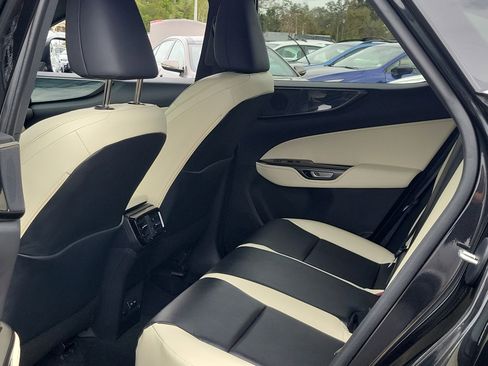 Used 2024 Lexus NX 250 FWD w/ Cold Area Package image 15