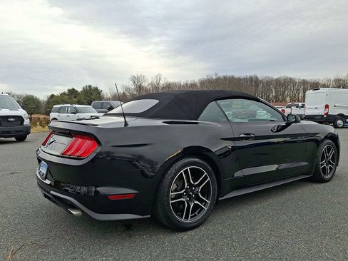 Used 2020 Ford Mustang Premium image 6