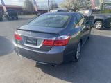 Used 2013 Honda Accord Sport image 5