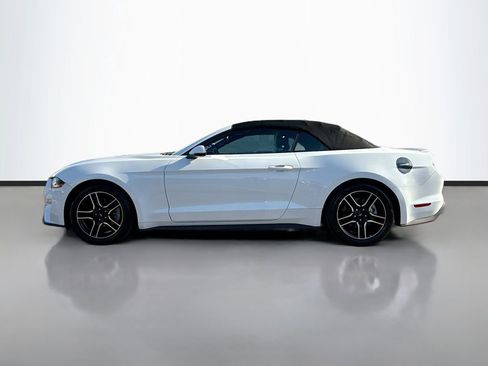 Used 2018 Ford Mustang Premium image 6