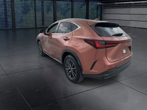 Used 2025 Lexus NX 250 FWD w/ Cold Area Package image 6
