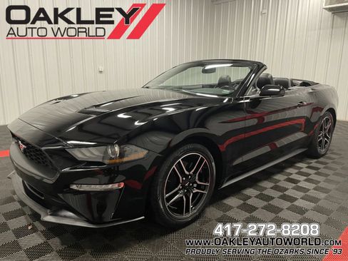 Used 2019 Ford Mustang Premium image 1