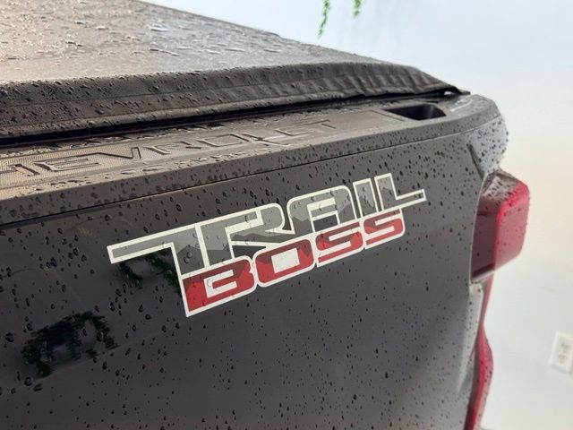 Used 2022 Chevrolet Silverado 1500 Custom Trail Boss AWD/4WD image 42