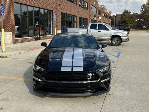 Used 2019 Ford Mustang GT Premium w/ Equipment Group 401A image 3