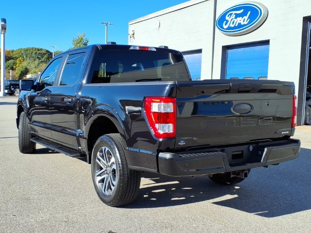 Used 2023 Ford F150 XL w/ STX Appearance Package AWD/4WD image 3