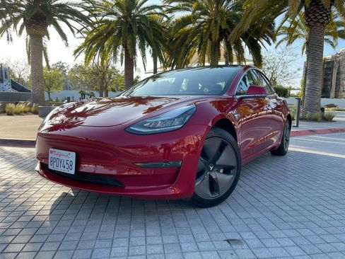 Used 2019 Tesla Model 3 Standard Range Plus image 3