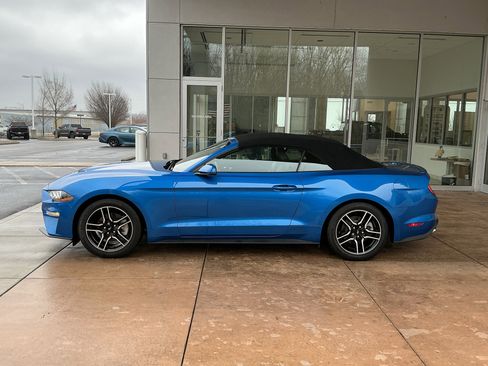 Used 2019 Ford Mustang Premium image 19