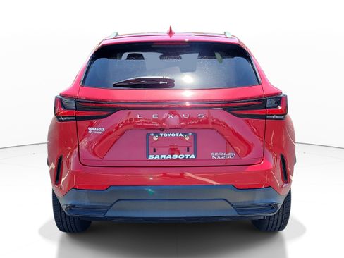 Used 2023 Lexus NX 250 FWD image 5