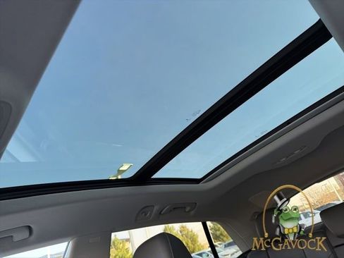 Used 2021 Audi Q8 Premium Plus w/ Premium Plus Package image 18