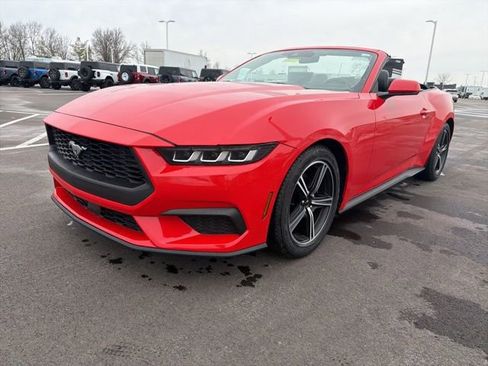 Used 2024 Ford Mustang Premium image 13