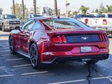Certified 2021 Ford Mustang Coupe w/ Equipment Group 101A image 6
