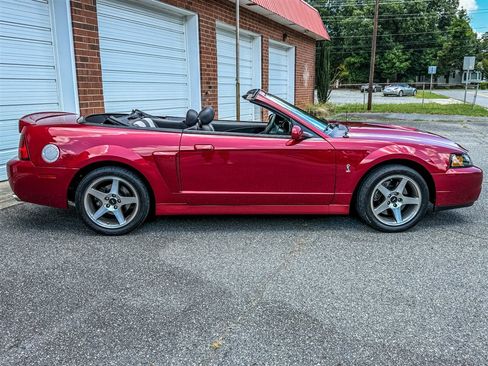 Used 2004 Ford Mustang Cobra RWD image 36