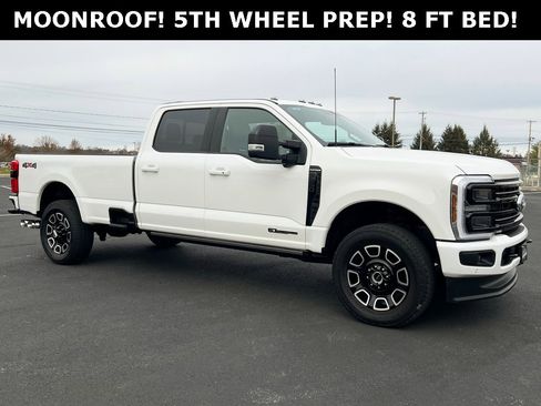 Used 2025 Ford F250 Platinum image 1