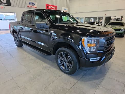 Used 2023 Ford F150 XLT w/ Equipment Group 302A High AWD/4WD image 5
