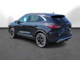 New 2025 Ford Escape Platinum image 3