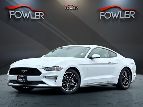 Used 2021 Ford Mustang Premium w/ Equipment Group 201A RWD image 1