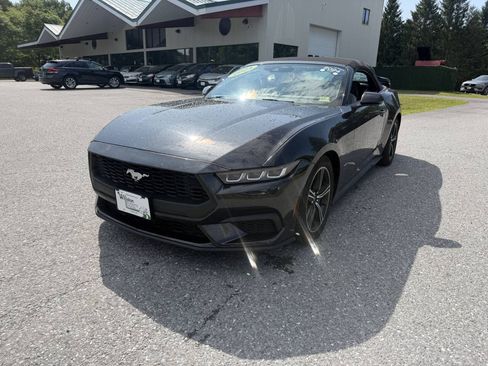 Used 2024 Ford Mustang Premium RWD image 9