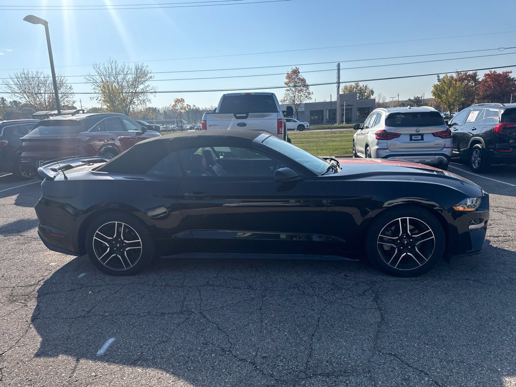 Used 2018 Ford Mustang Premium w/ Equipment Group 201A RWD image 4