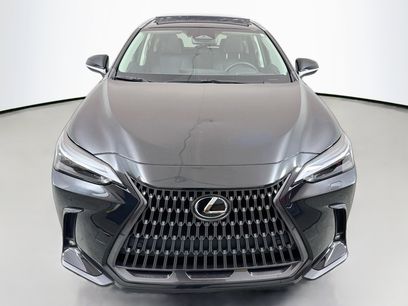 Certified 2024 Lexus NX 350 AWD w/ Cold Area Package