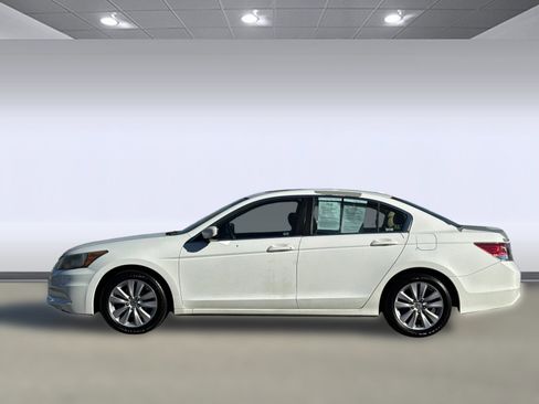 Used 2011 Honda Accord EX-L image 2