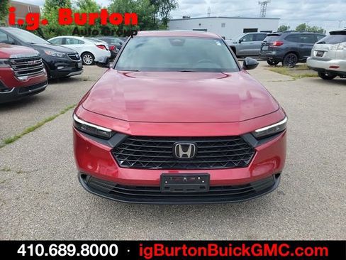Used 2024 Honda Accord Sport image 2