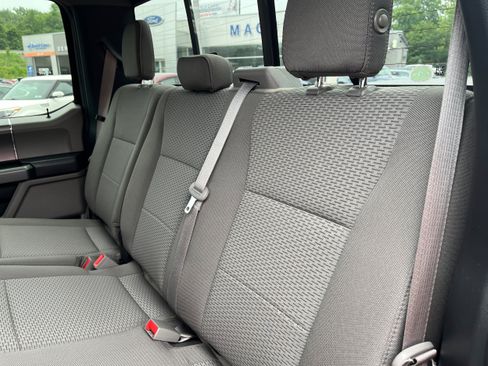 Used 2019 Ford F150 XLT w/ Equipment Group 302A Luxury AWD/4WD image 13