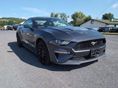 Certified 2019 Ford Mustang Premium RWD image 3