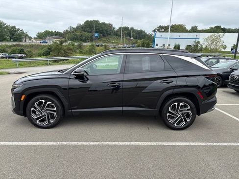 Used 2025 Hyundai Tucson Limited AWD/4WD image 2