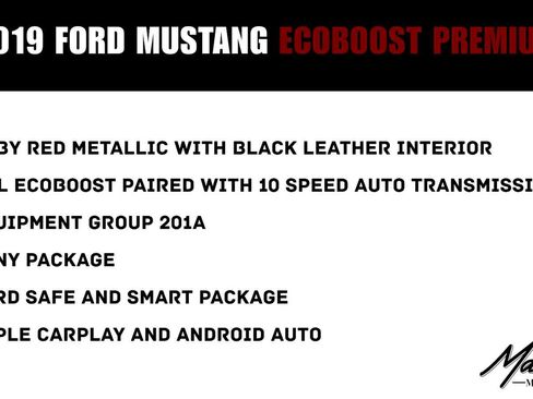 Used 2019 Ford Mustang Premium w/ Equipment Group 201A RWD image 2