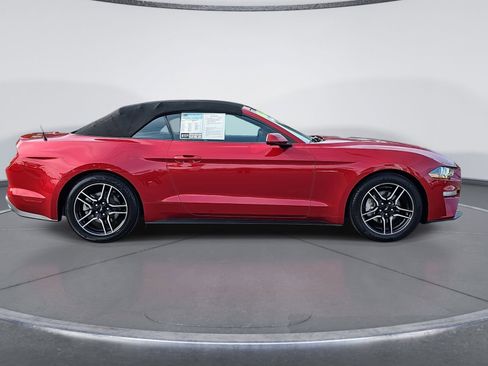 Used 2023 Ford Mustang Premium image 2