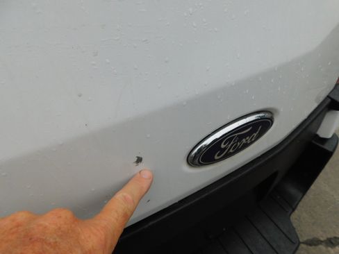 Used 2019 Ford Transit 250 130 Low Roof RWD image 4