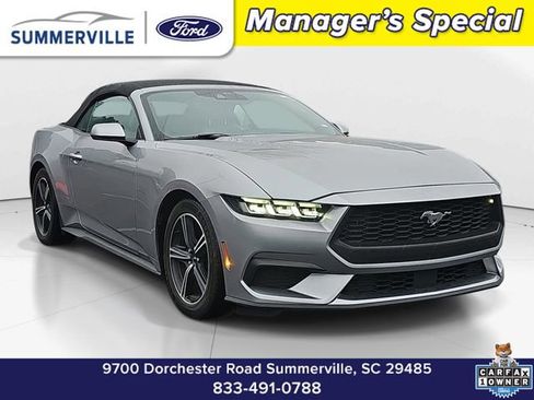 Used 2024 Ford Mustang Premium image 1