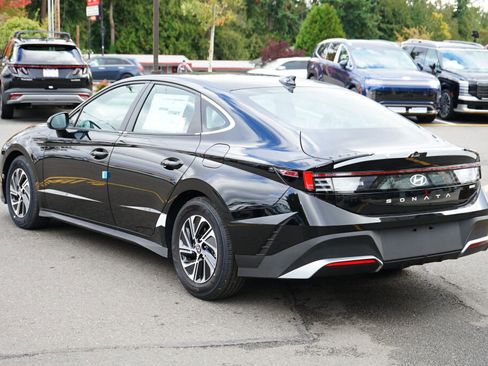 New 2026 Hyundai Sonata Blue image 7