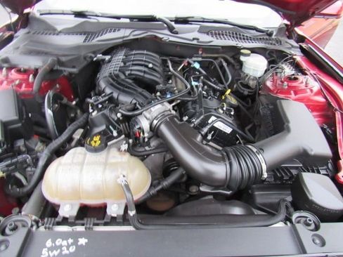 Used 2017 Ford Mustang Coupe w/ Equipment Group 051A image 25