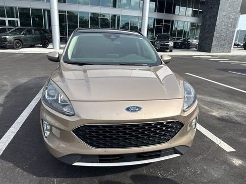 Used 2020 Ford Escape SEL FWD image 2