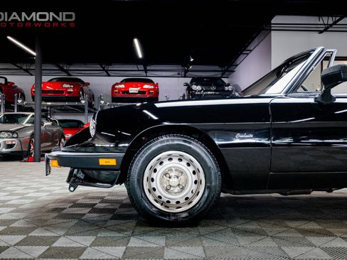 Used 1986 Alfa Romeo Spider Veloce image 11