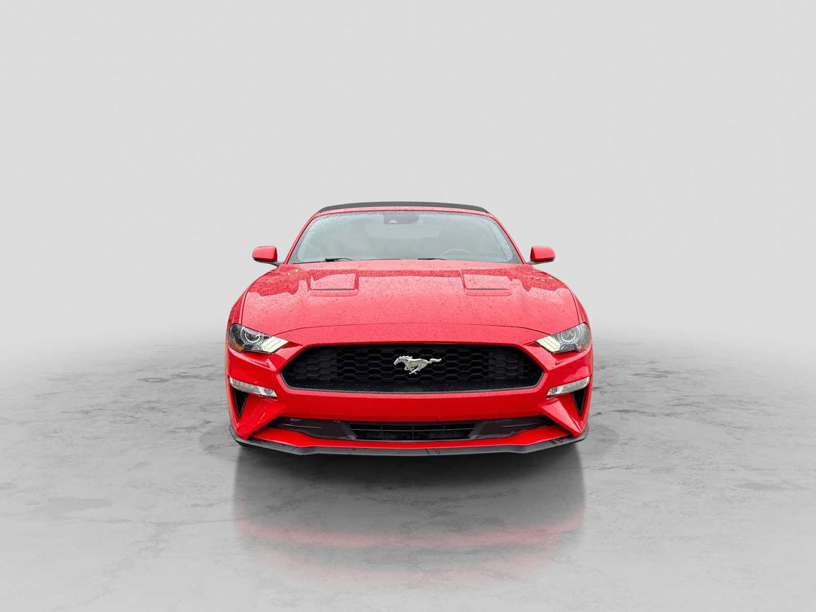 Used 2019 Ford Mustang Premium w/ Equipment Group 201A RWD image 9