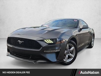 Used 2019 Ford Mustang Coupe
