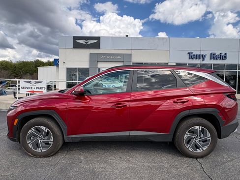 Used 2025 Hyundai Tucson Blue image 4