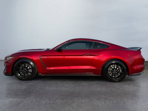 Used 2017 Ford Mustang Shelby GT350 RWD image 6