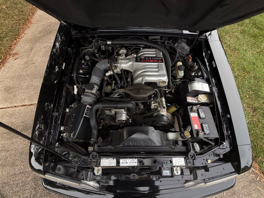Used 1993 Ford Mustang Cobra RWD image 93