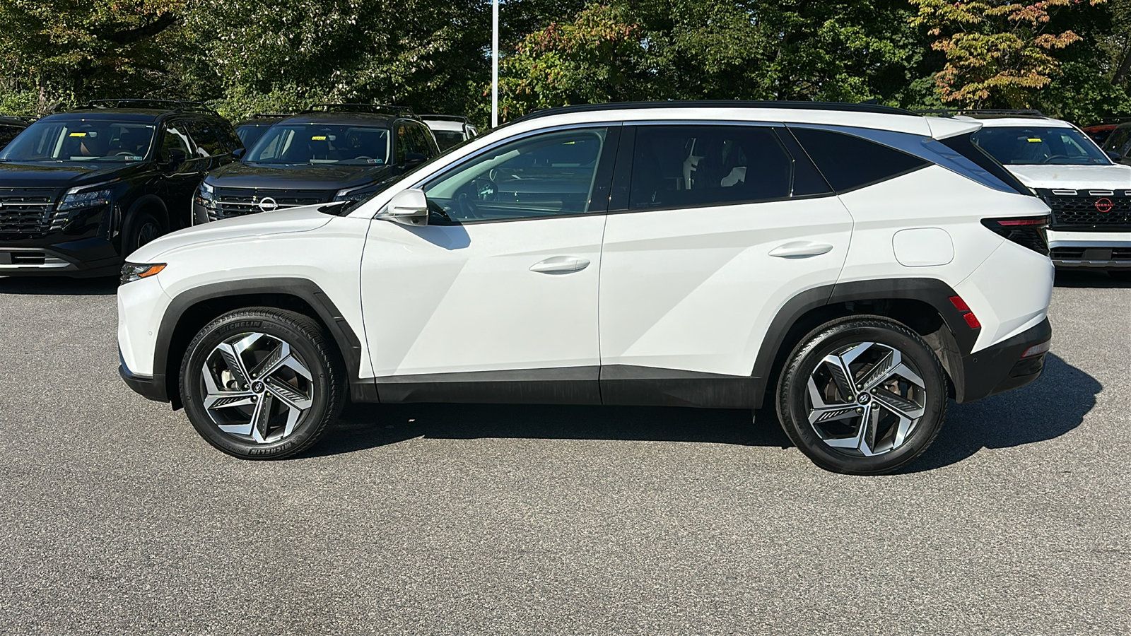 Used 2024 Hyundai Tucson Limited AWD/4WD image 29