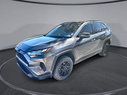 Used 2023 Toyota RAV4 XLE