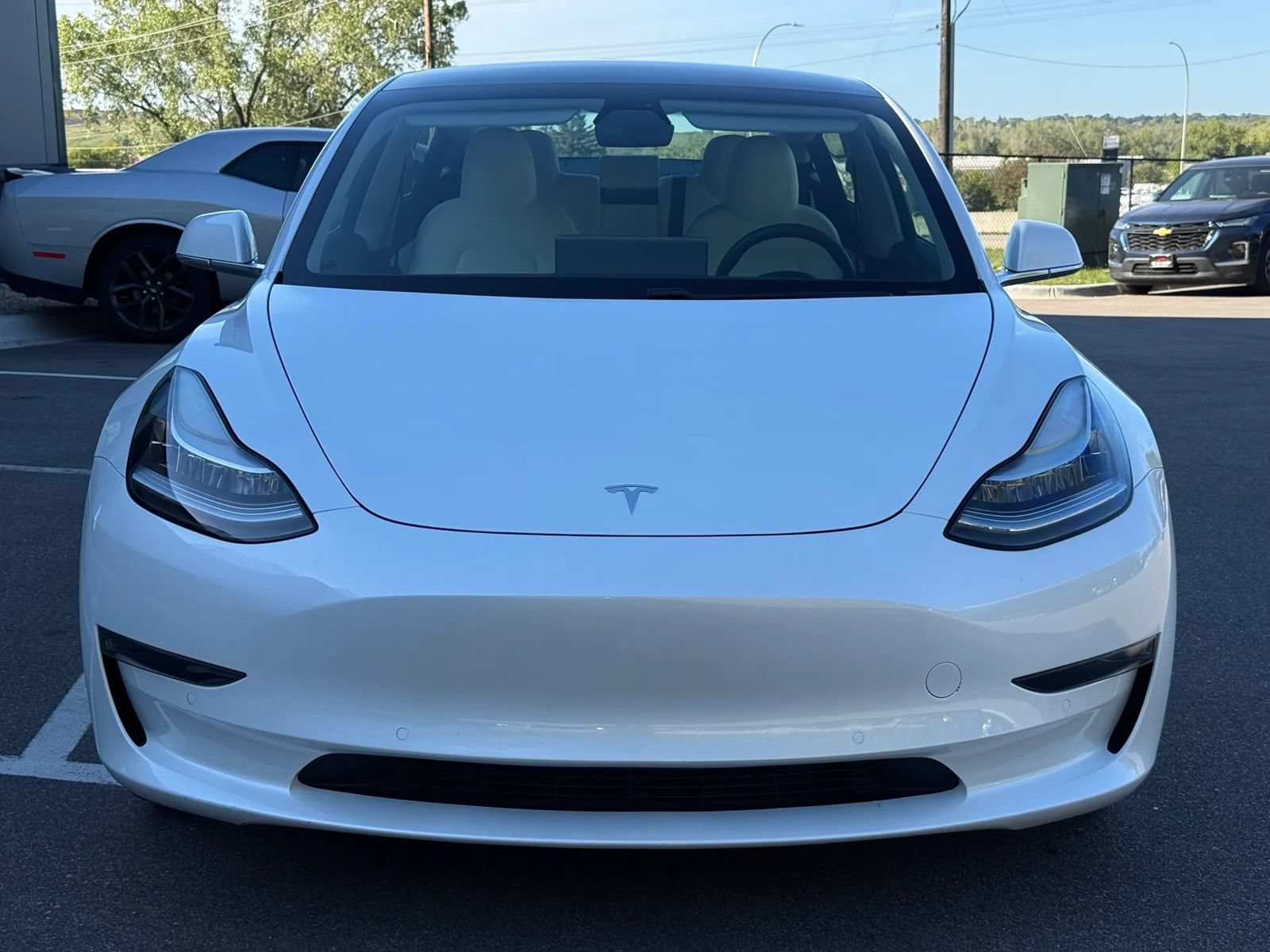 Used 2020 Tesla Model 3 RWD image 8