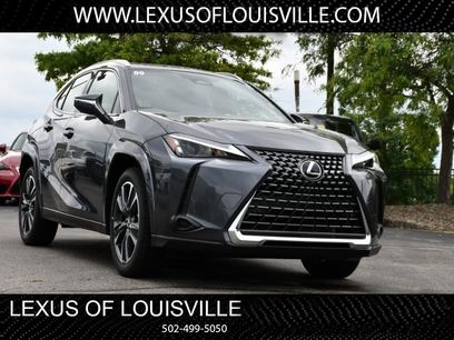 New 2025 Lexus UX 300h AWD