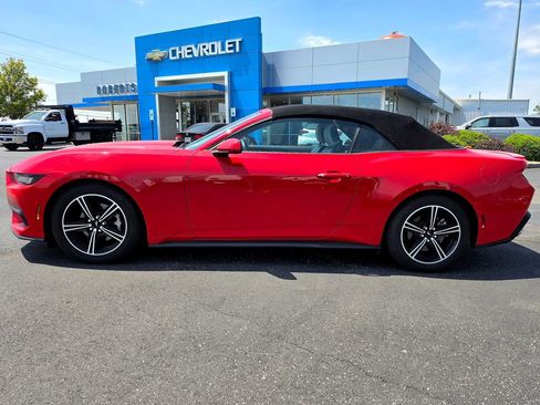 Used 2024 Ford Mustang Premium RWD image 3