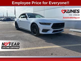 New 2026 Ford Mustang EcoBoost w/ Mustang Nite Pony Package video 1