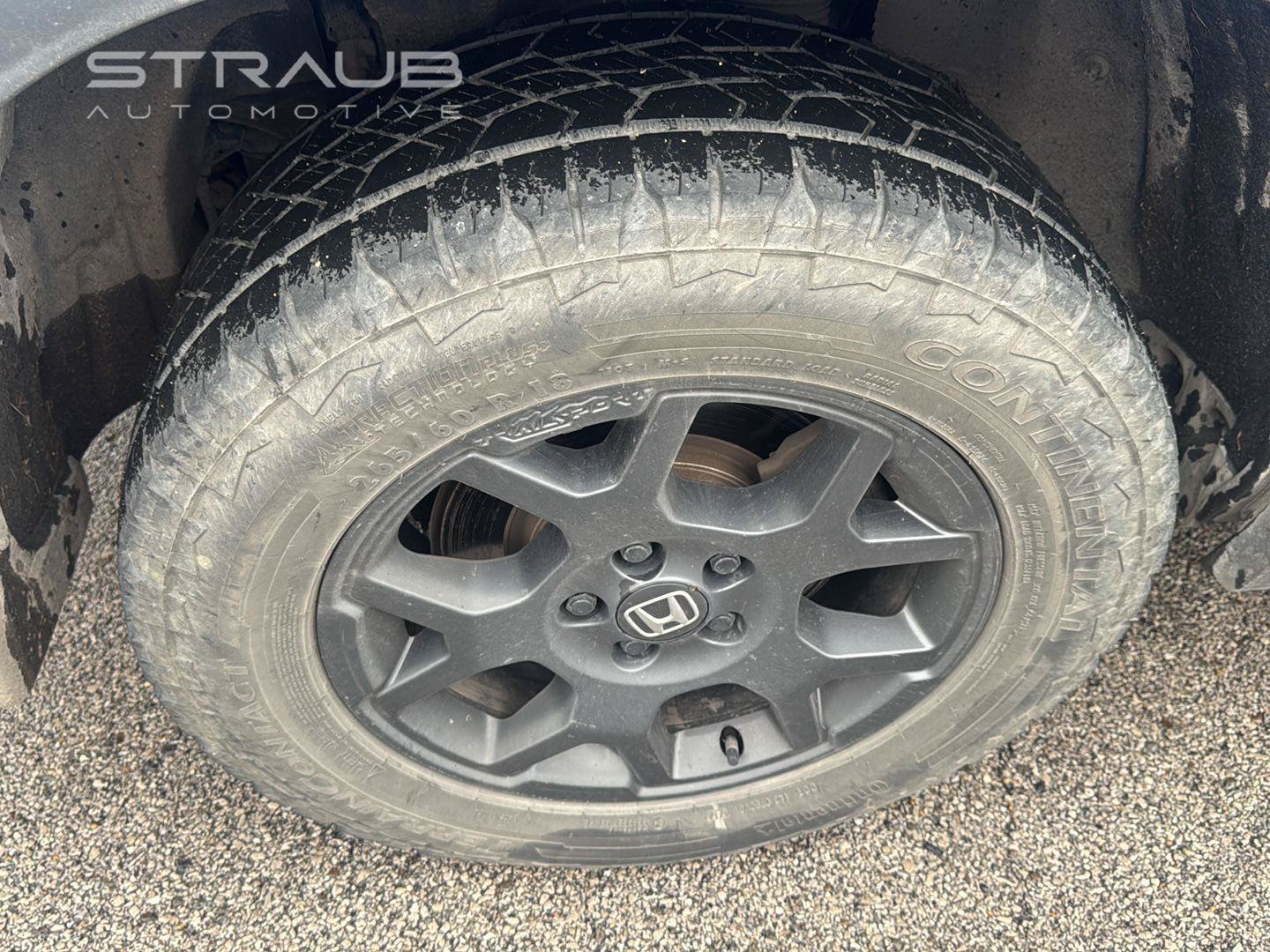 Used 2024 Honda Pilot TrailSport image 15